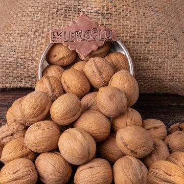 YERLİ KABUKLU CEVİZ