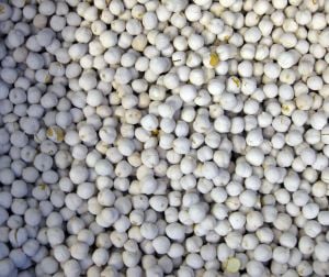 ÇEREZ SAKIZ BEYAZ LEBLEBİ