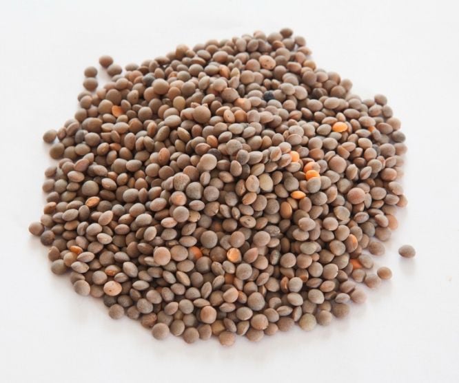 DİRİ ANTEP MERCİMEĞİ