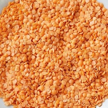 KIRMIZI MERCİMEK (MALTIKA)
