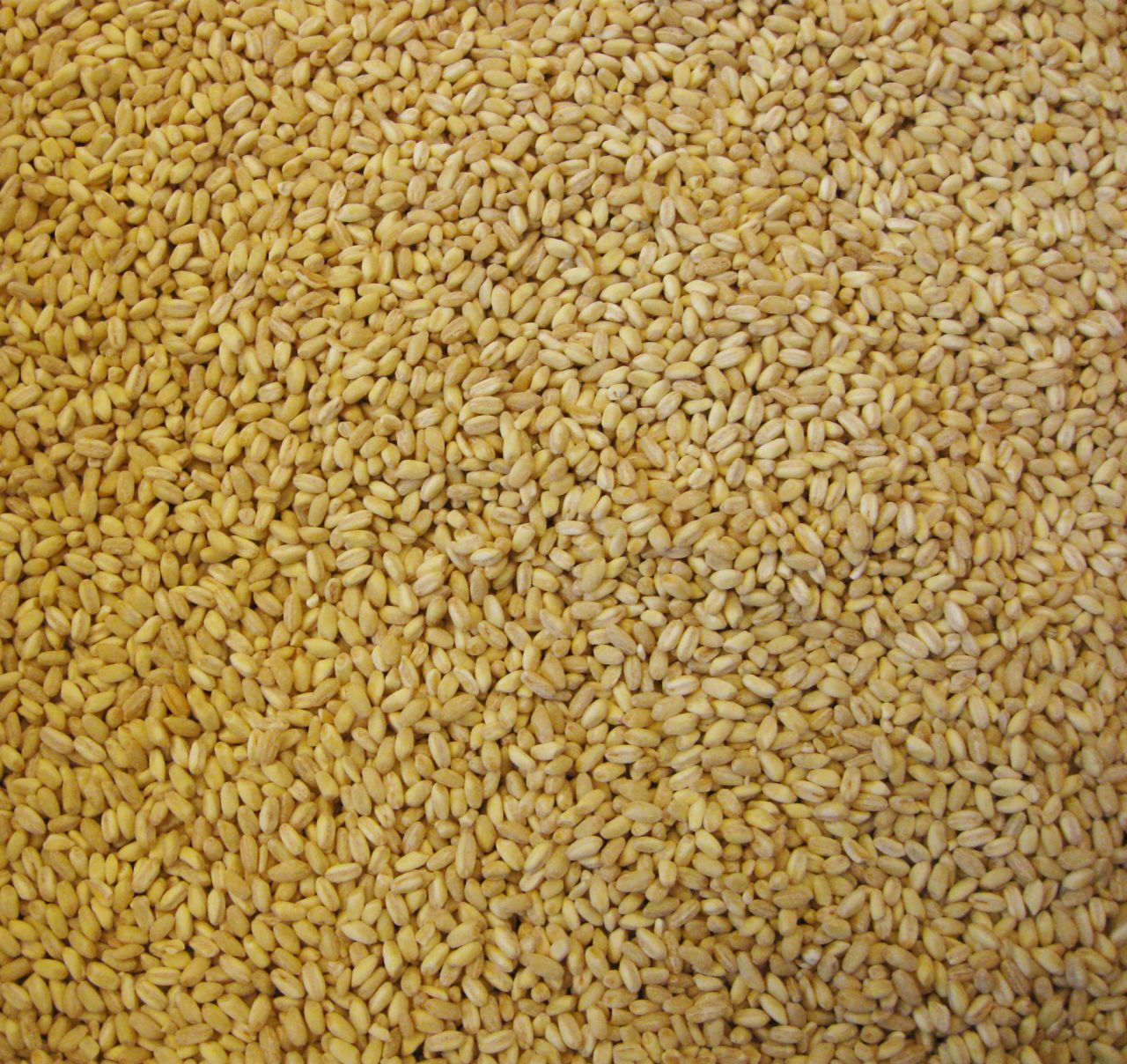 DÖVME MARAŞ (YARMA)