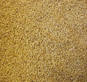 DÖVME MARAŞ (YARMA)