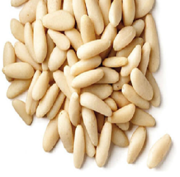 YERLİ ÇAM FISTIĞI